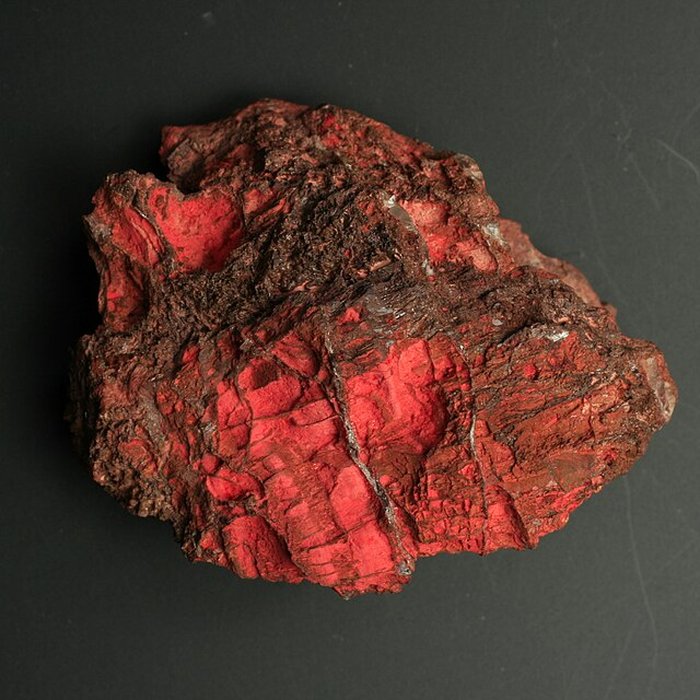 Photo de Musée de Tessé des beaux-arts au Mans