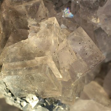 Musée de Tessé des beaux-arts au Mans