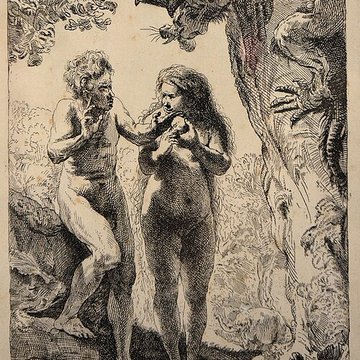 Musée de Tessé des beaux-arts au Mans