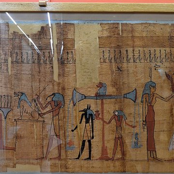 Musée de Tessé des beaux-arts au Mans