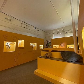 Musée de Tessé des beaux-arts au Mans