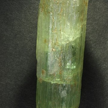 Musée de Tessé des beaux-arts au Mans