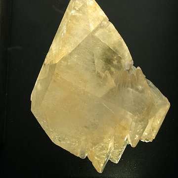 Musée de Tessé des beaux-arts au Mans