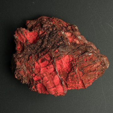 Musée de Tessé des beaux-arts au Mans