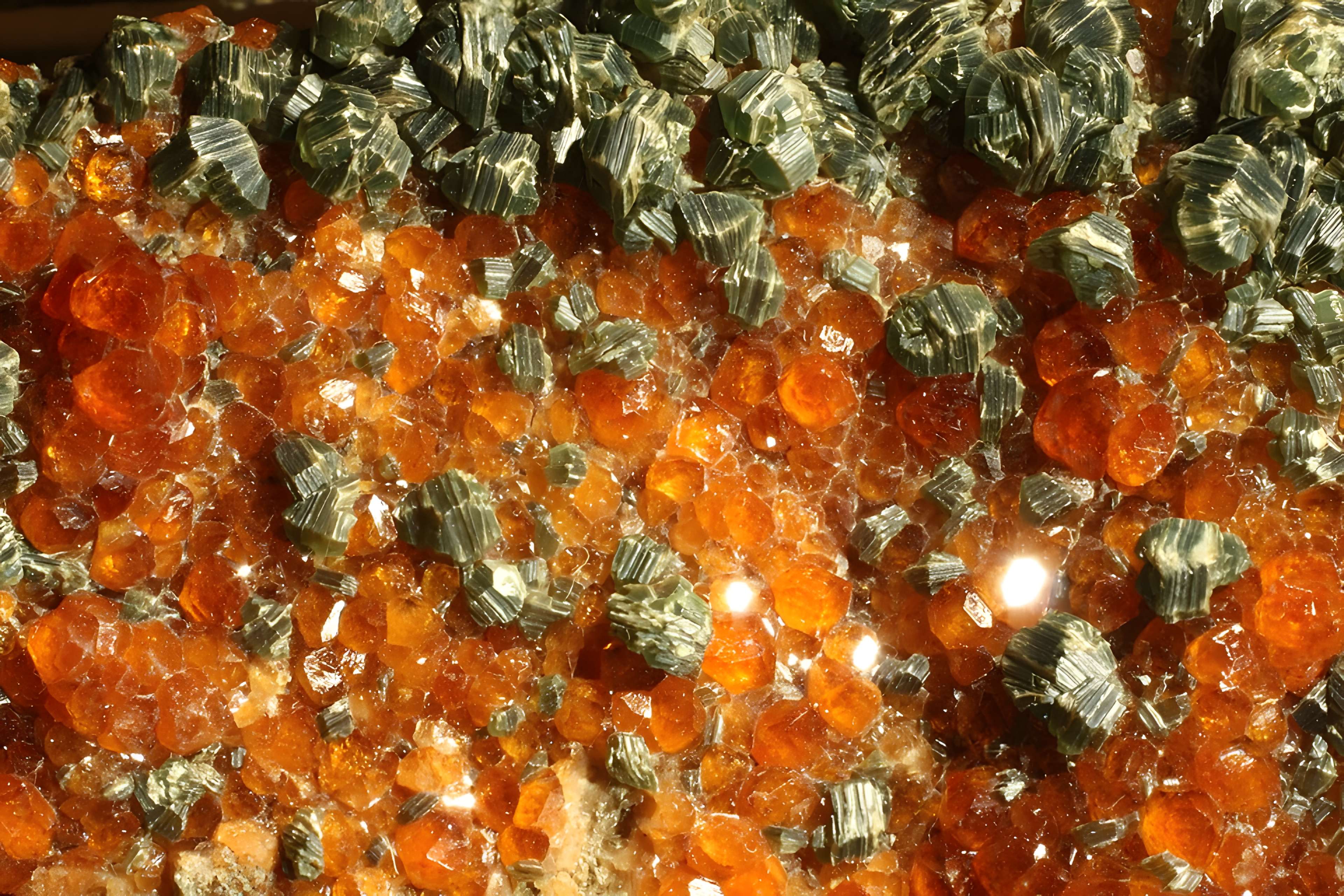 Musée de Tessé des beaux-arts au Mans