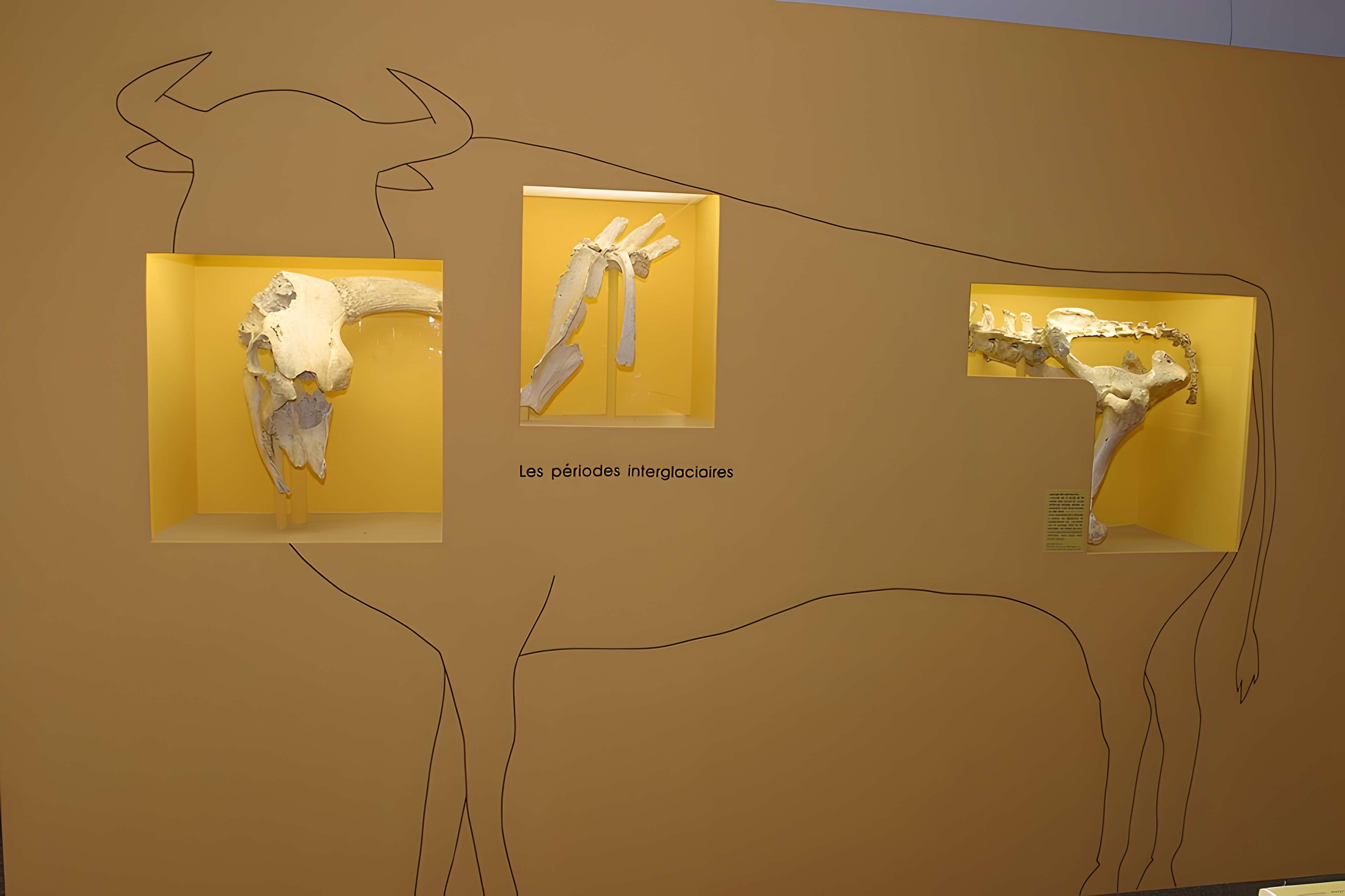 Musée de Tessé des beaux-arts au Mans