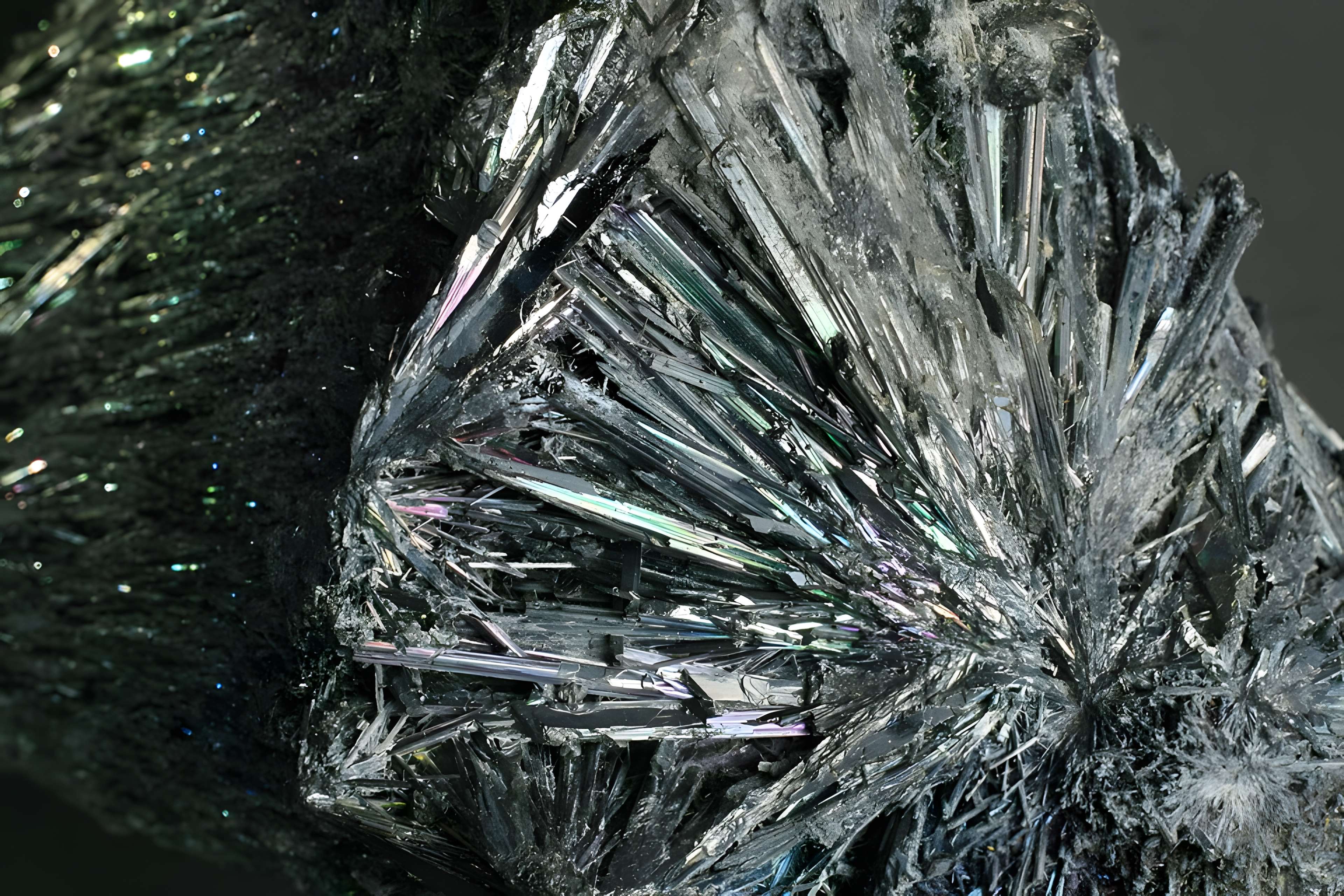 Musée de Tessé des beaux-arts au Mans