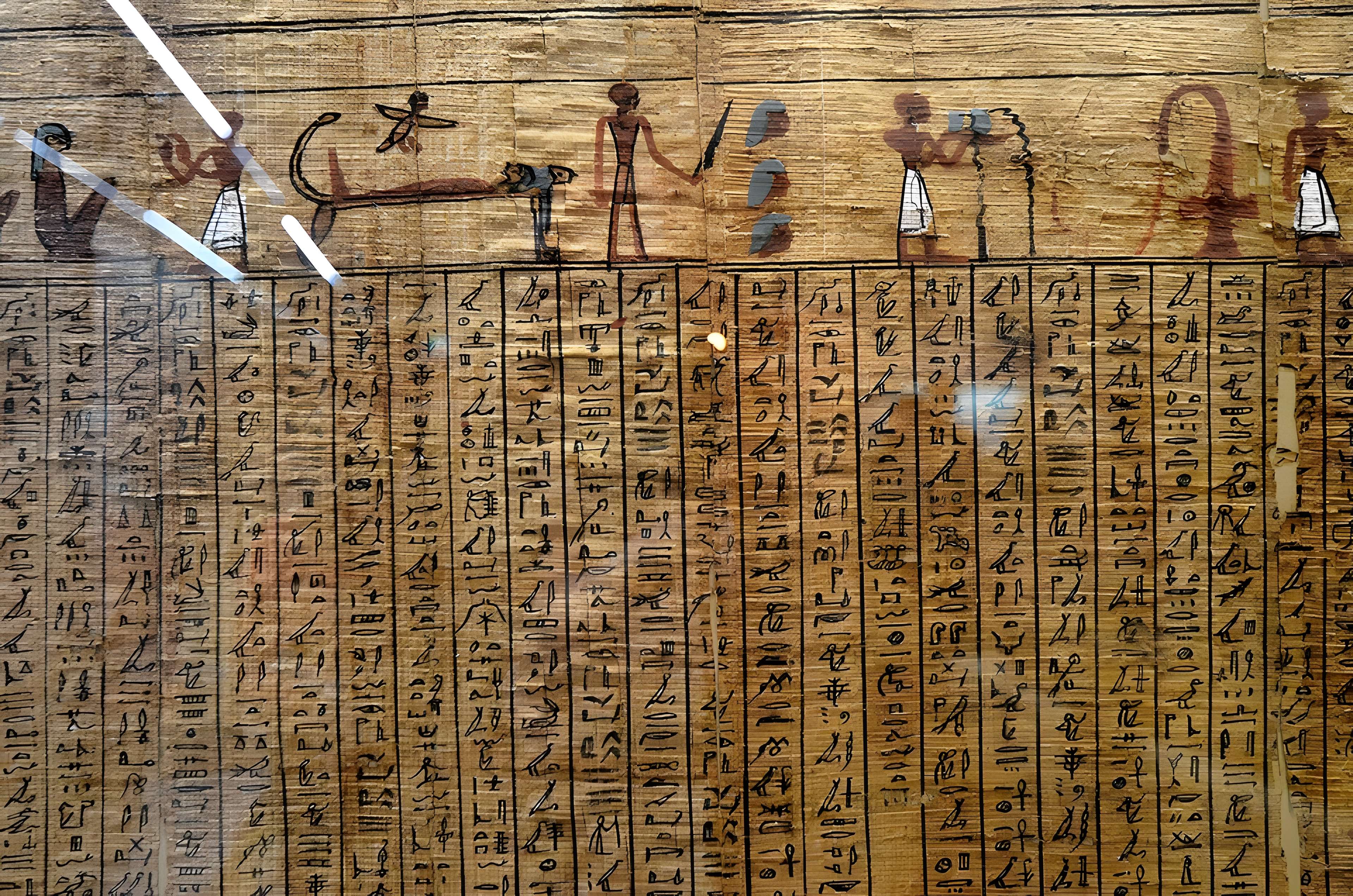 Musée de Tessé des beaux-arts au Mans