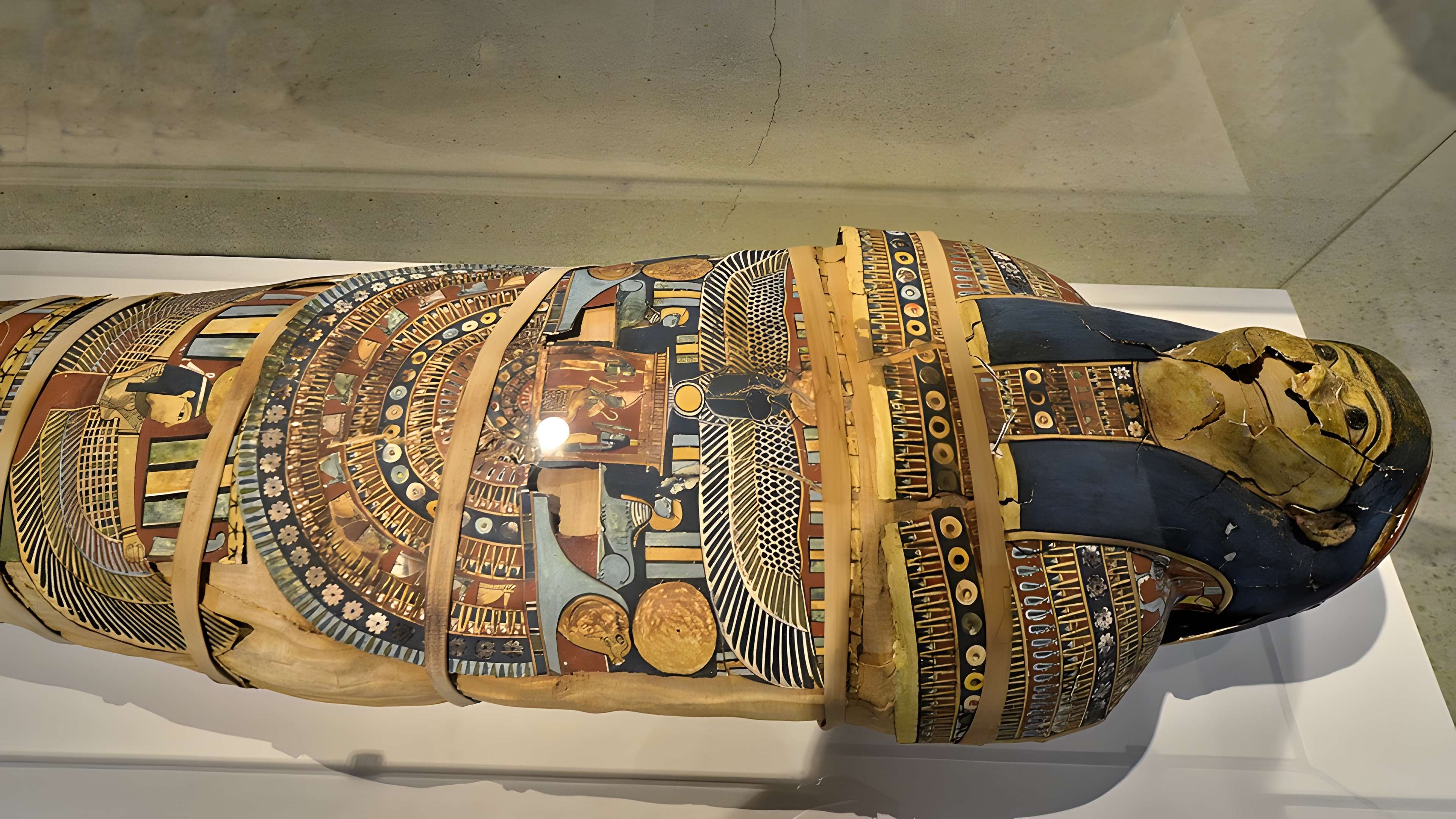 Musée de Tessé des beaux-arts au Mans