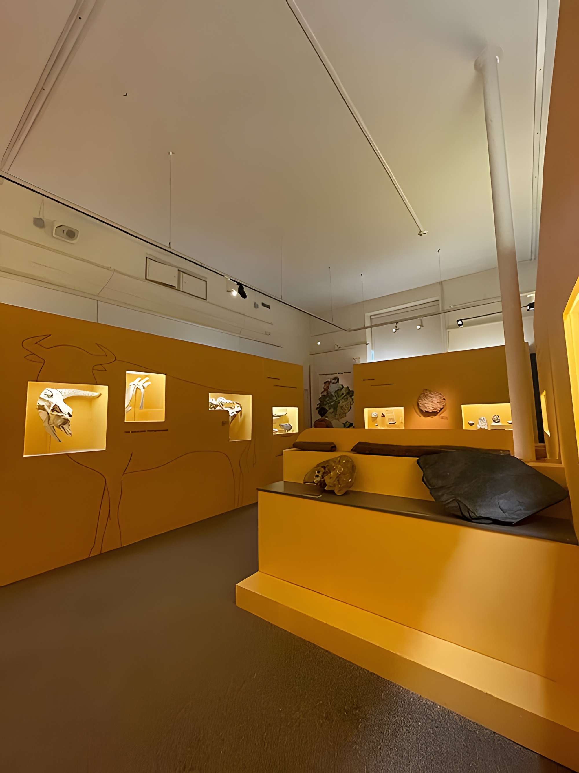 Musée de Tessé des beaux-arts au Mans