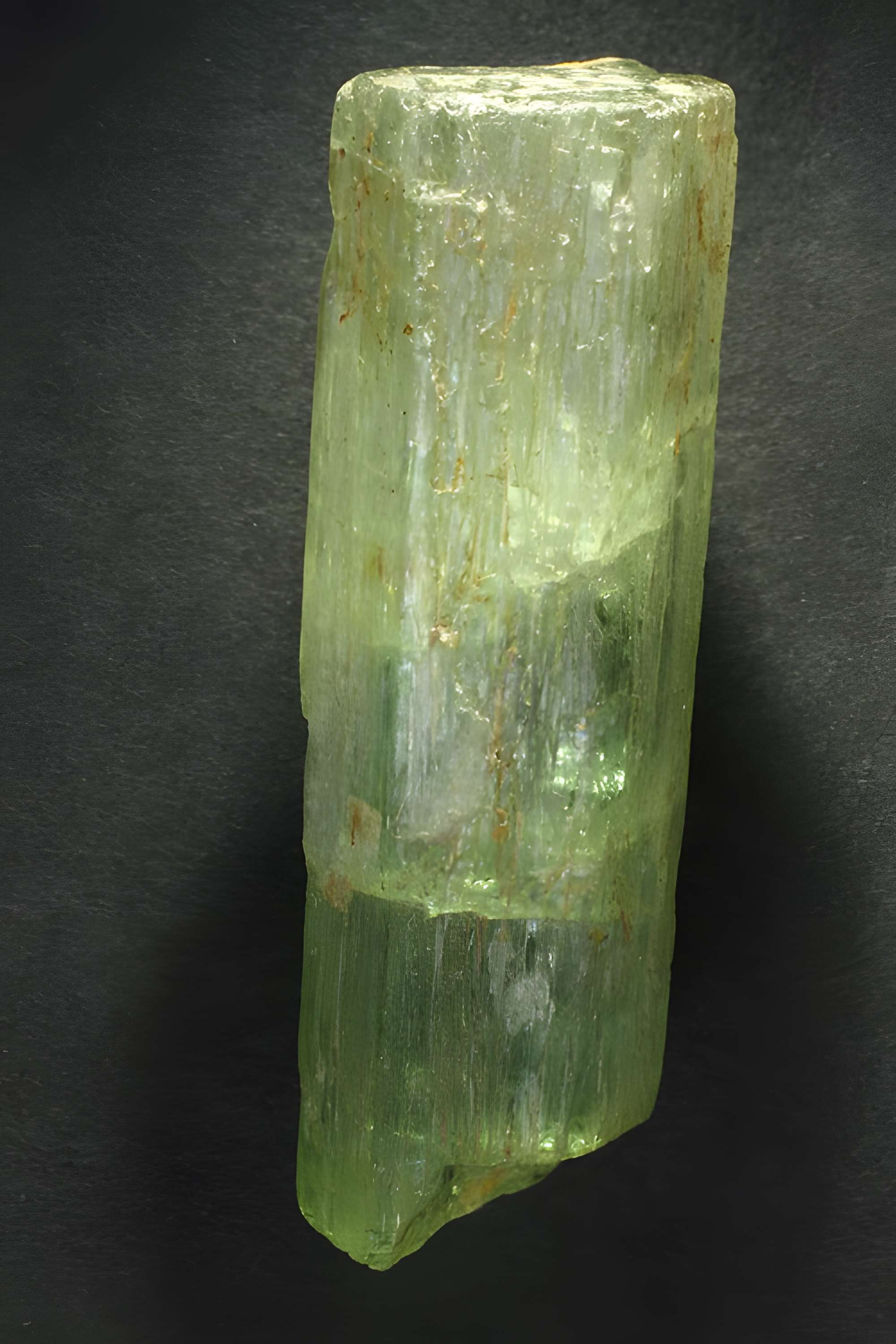 Musée de Tessé des beaux-arts au Mans