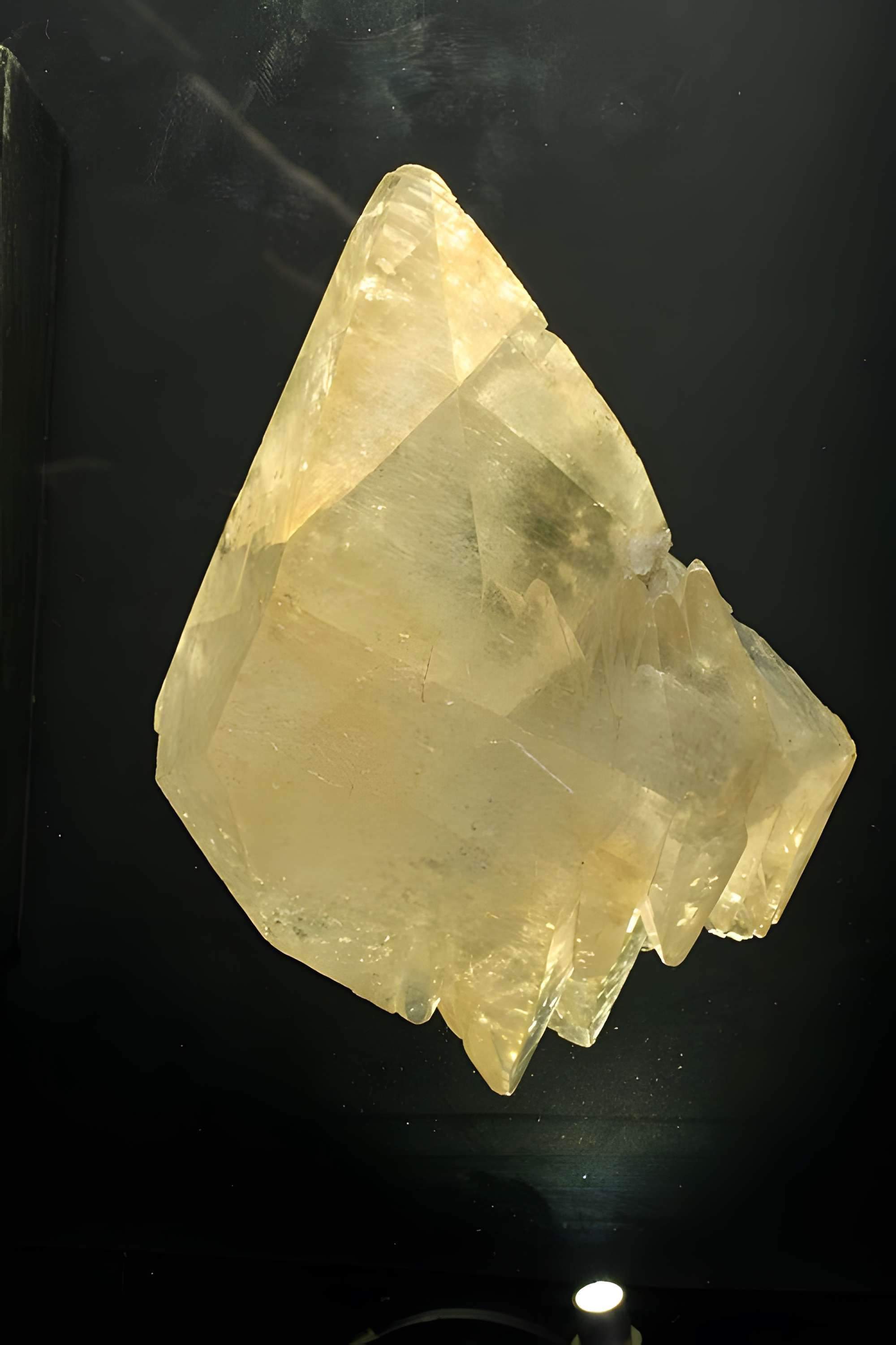 Musée de Tessé des beaux-arts au Mans