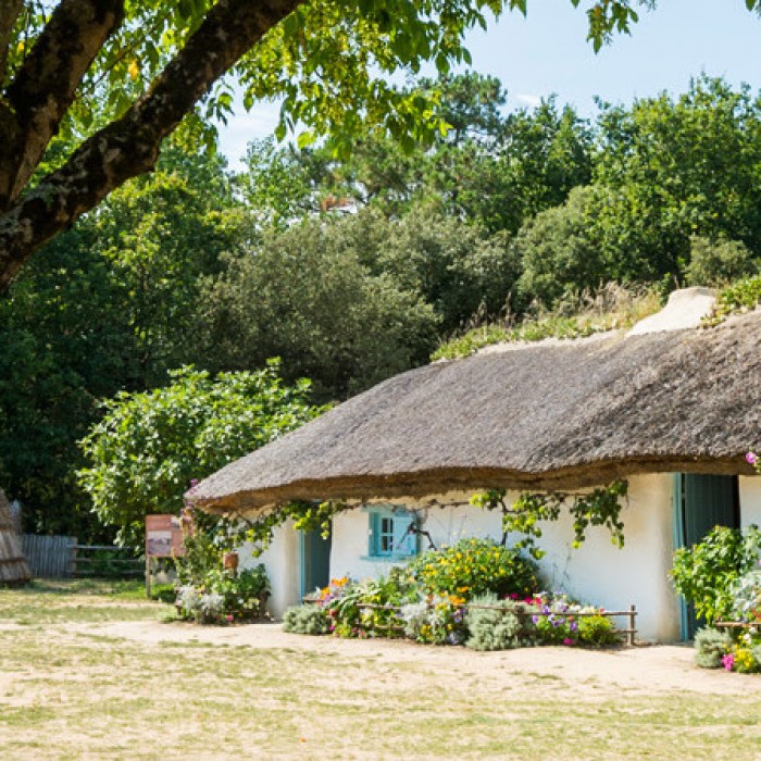 Photo de Ecomusée de la Bourrine du Bois Juquaud à Saint-Hilaire-de-Riez