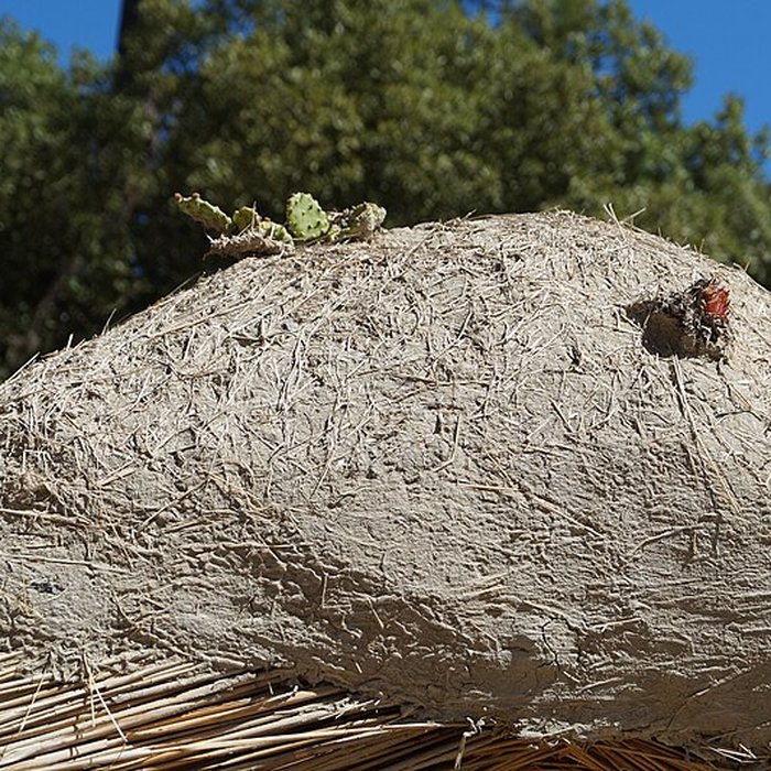 Photo de Ecomusée de la Bourrine du Bois Juquaud à Saint-Hilaire-de-Riez