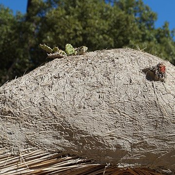 Ecomusée de la Bourrine du Bois Juquaud à Saint-Hilaire-de-Riez