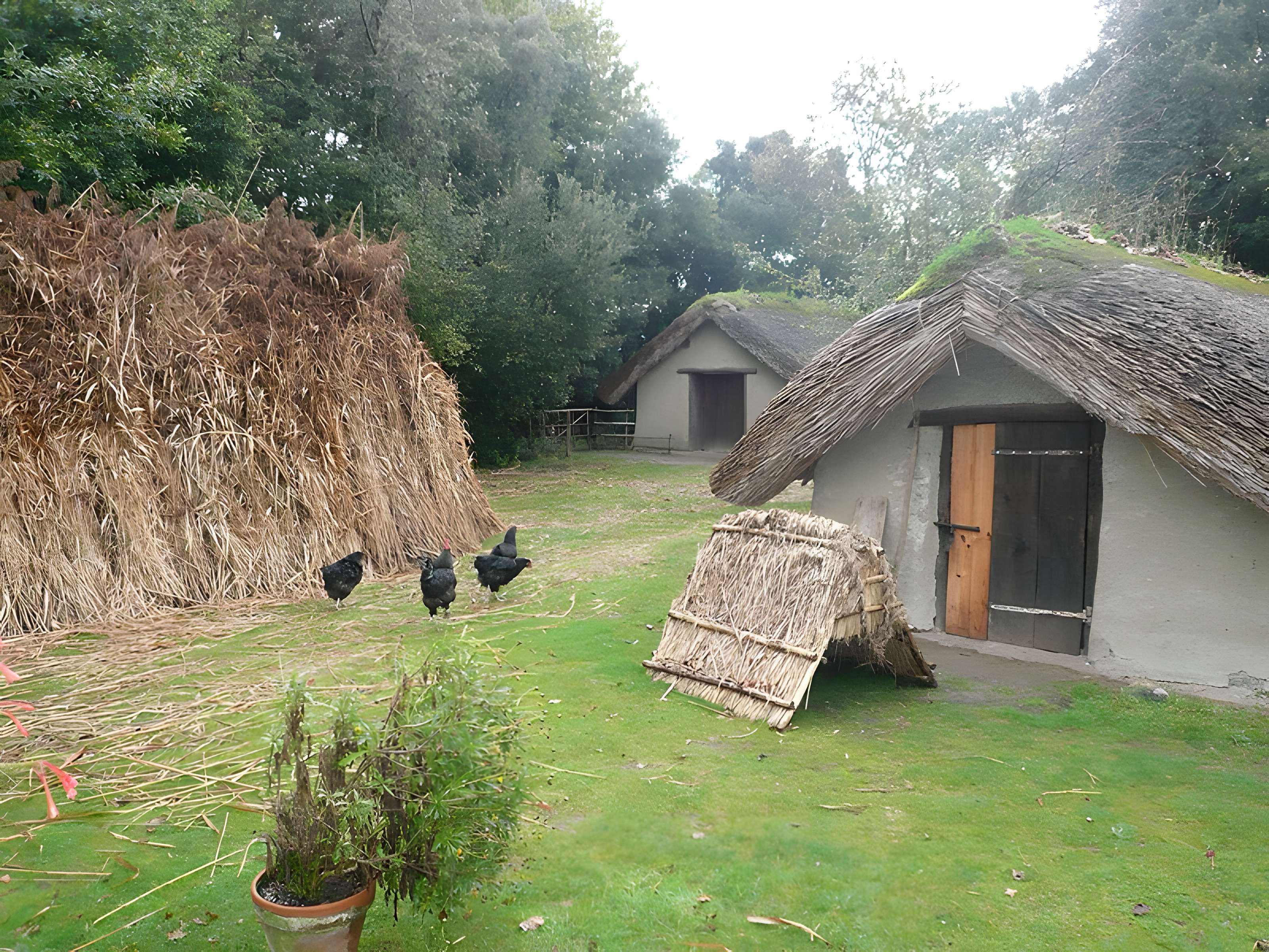 Ecomusée de la Bourrine du Bois Juquaud à Saint-Hilaire-de-Riez