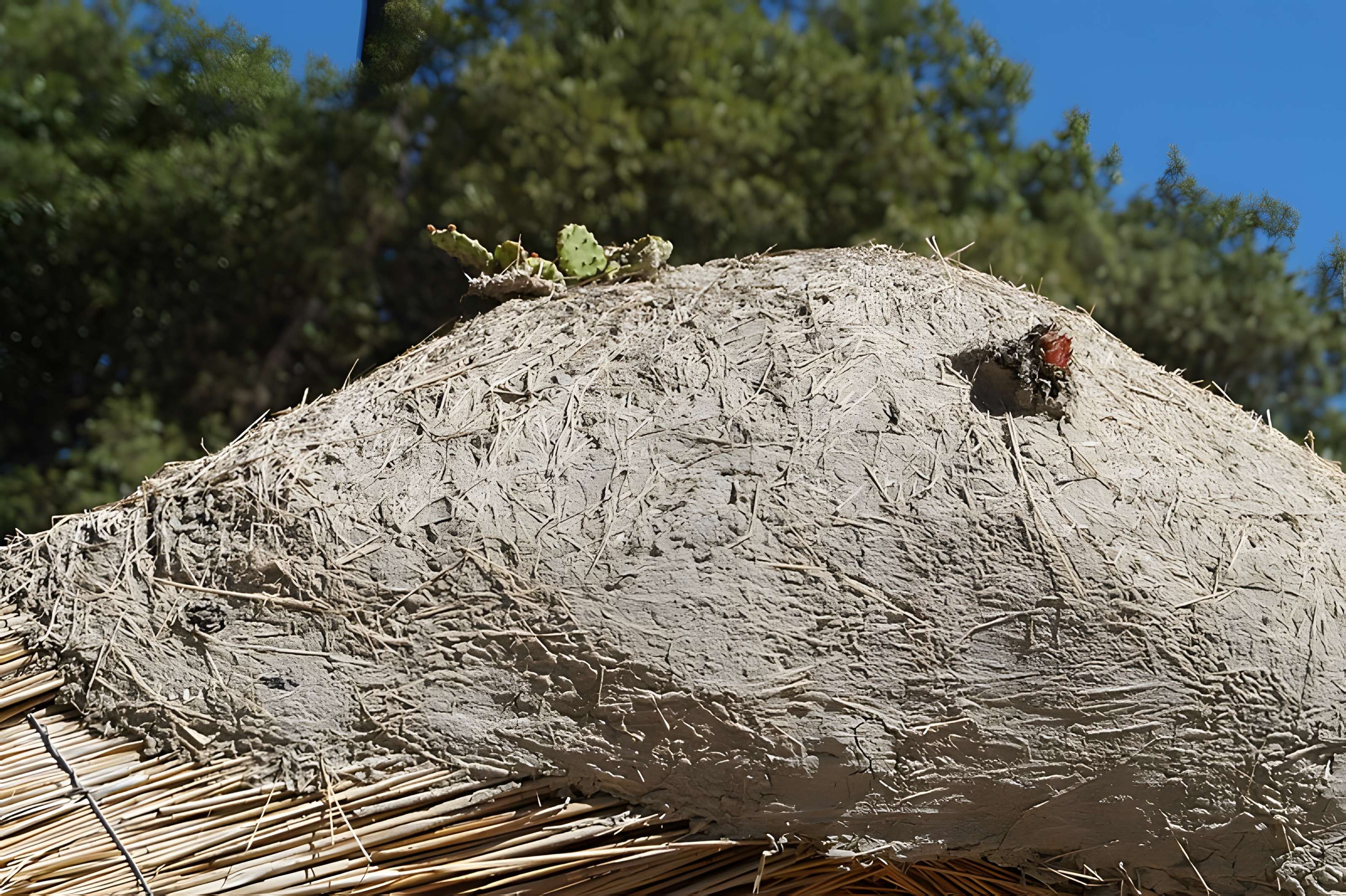 Ecomusée de la Bourrine du Bois Juquaud à Saint-Hilaire-de-Riez