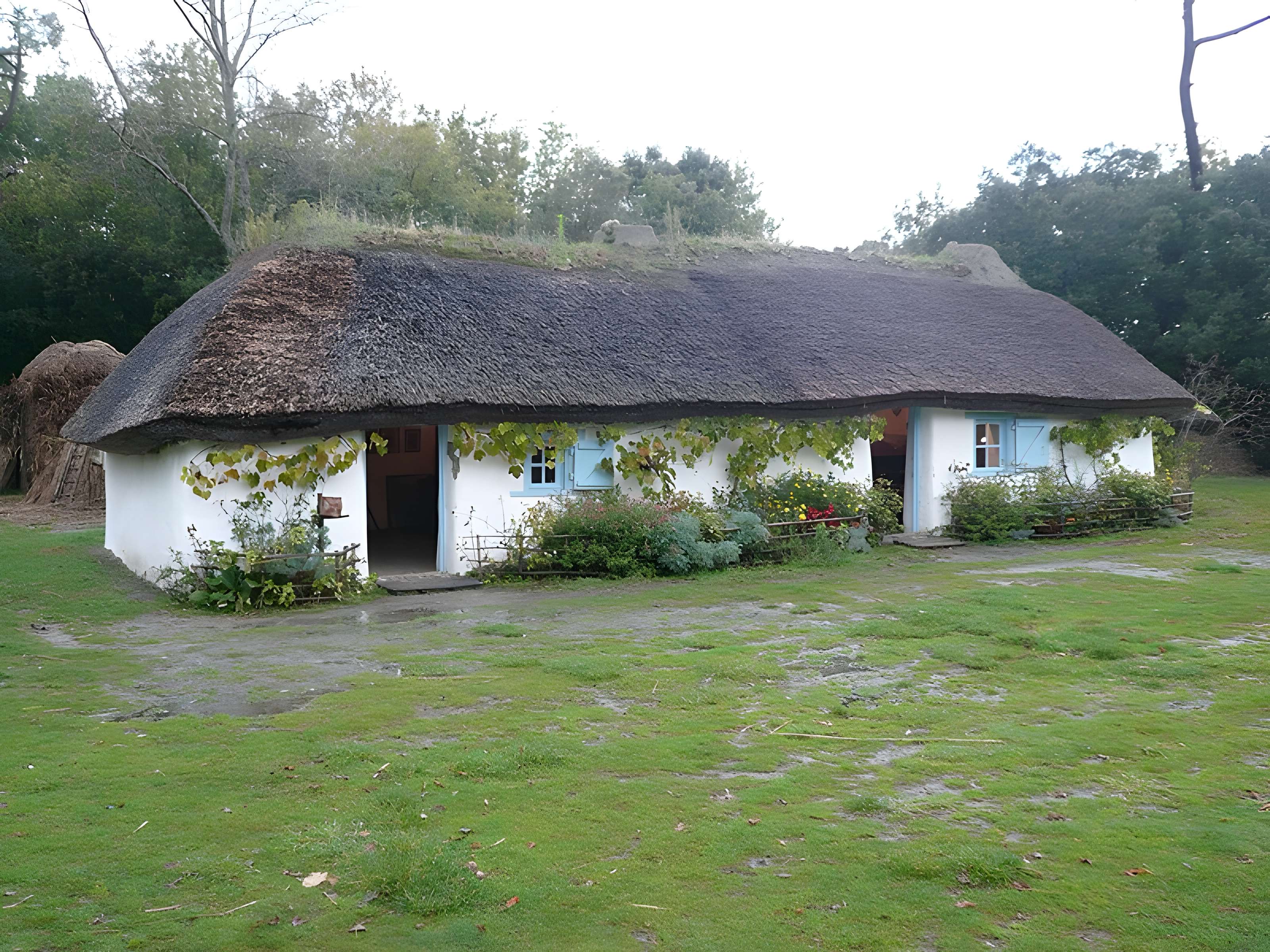 Ecomusée de la Bourrine du Bois Juquaud à Saint-Hilaire-de-Riez