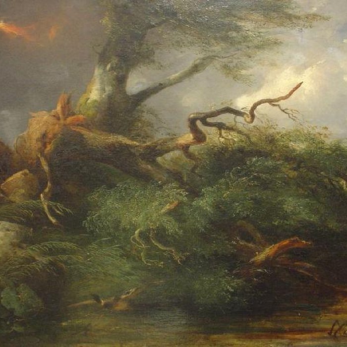 Photo de Musée Jean de la Fontaine à Château-Thierry