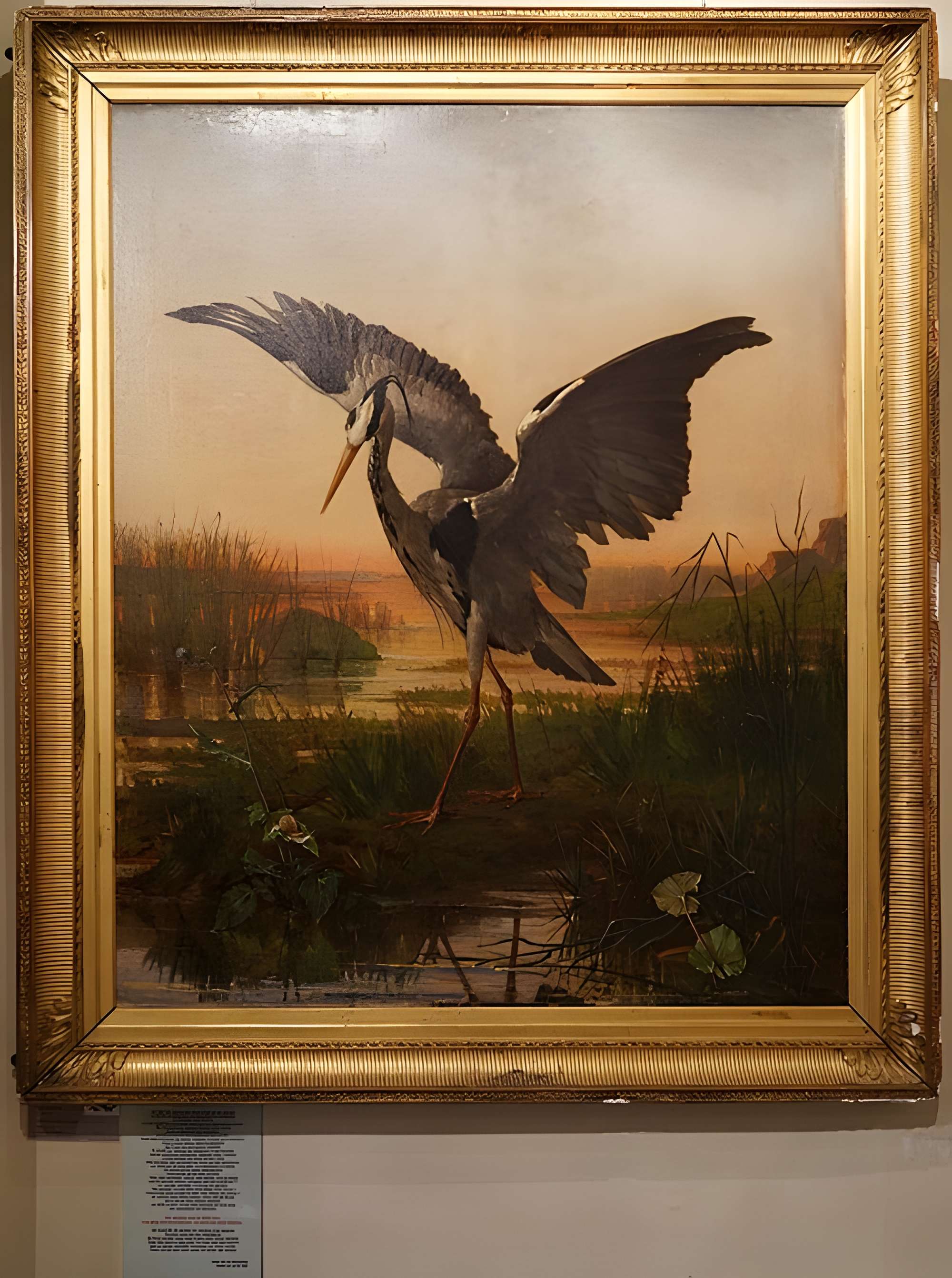 Musée Jean de la Fontaine à Château-Thierry