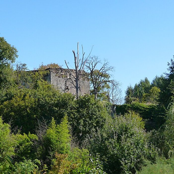 Photo de Château de Semblançay