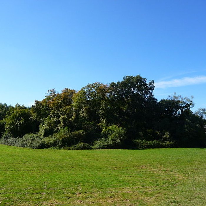 Photo de Château de Semblançay