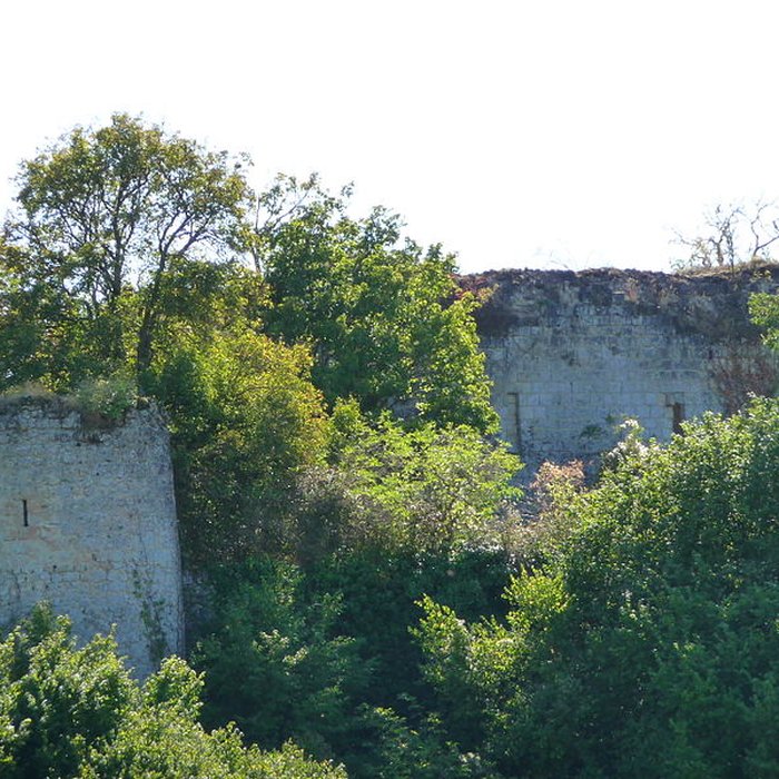 Photo de Château de Semblançay