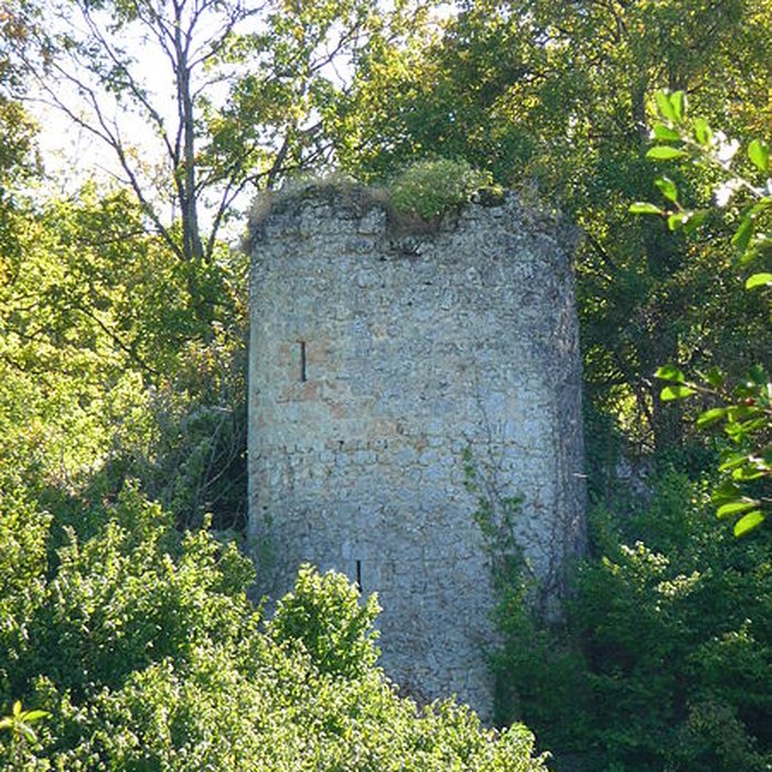 Photo de Château de Semblançay