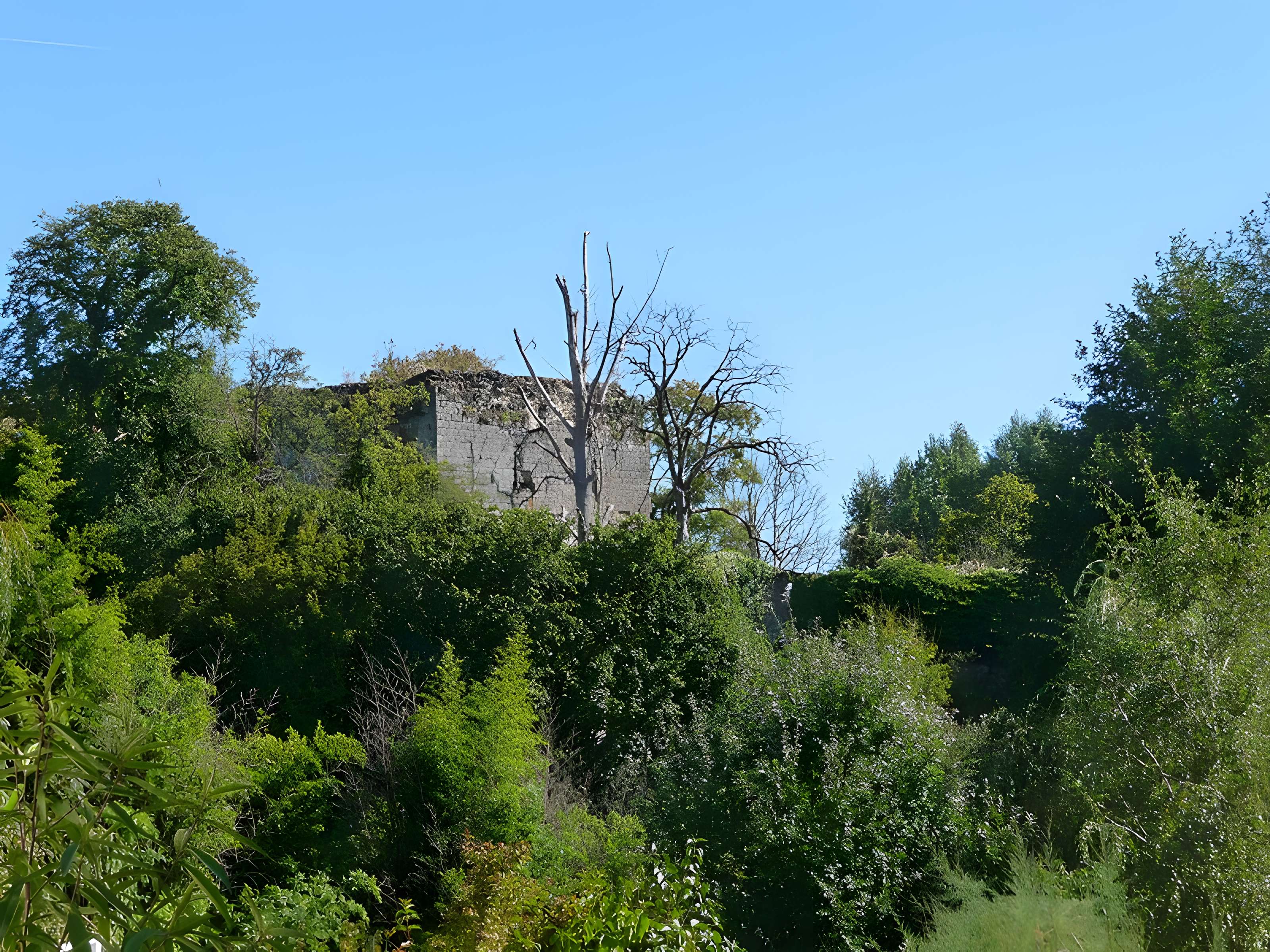 Château de Semblançay