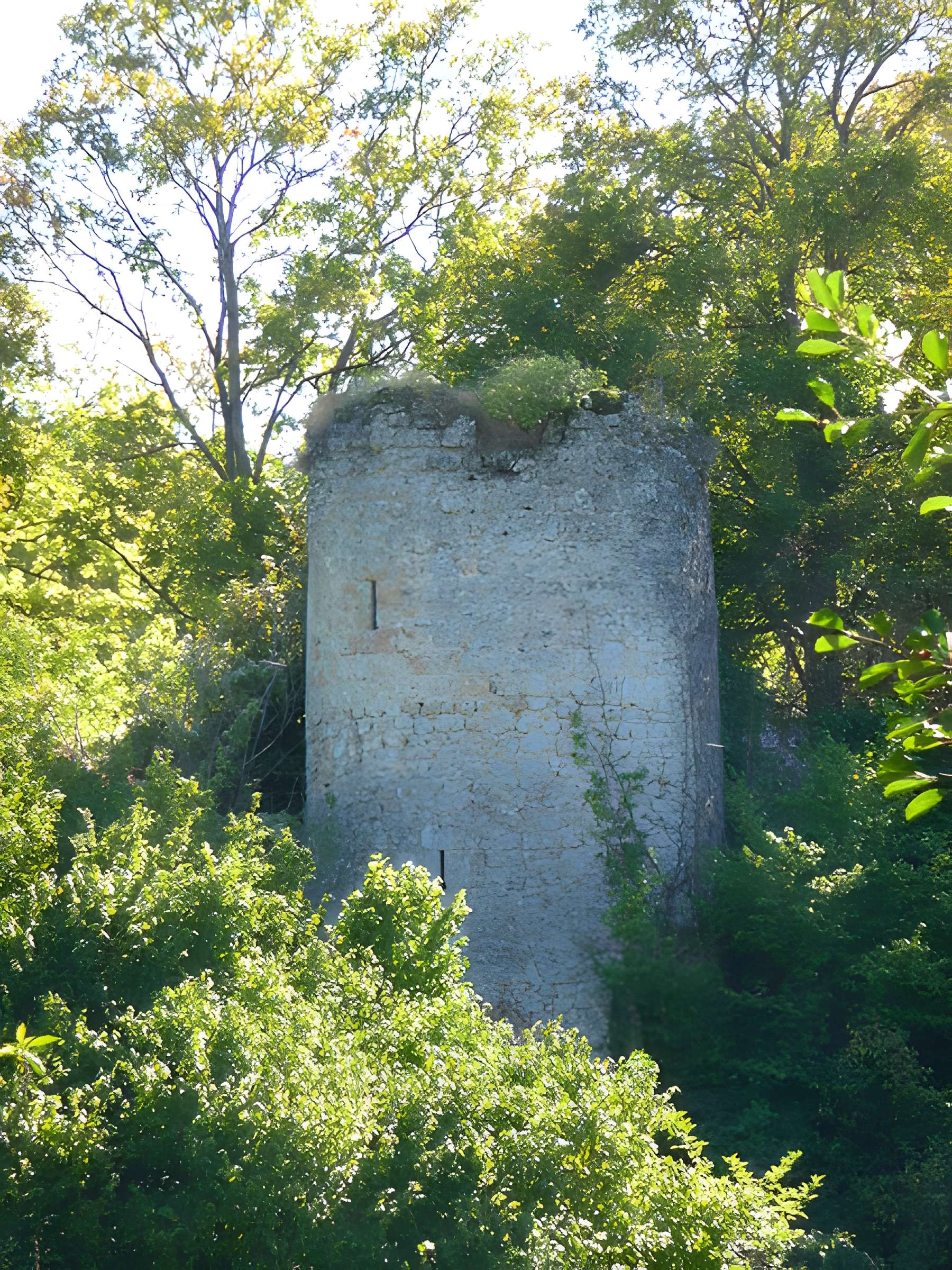 Château de Semblançay