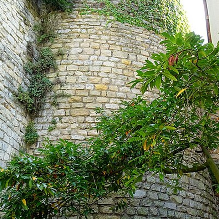 Photo de Musée dart et darchéologie de Senlis