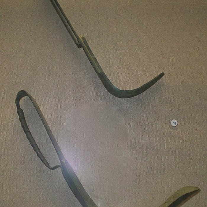 Photo de Musée dart et darchéologie de Senlis