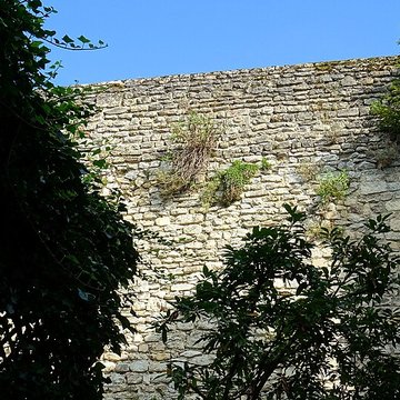Musée dart et darchéologie de Senlis