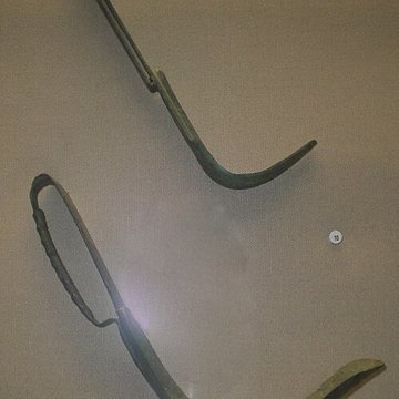 Musée dart et darchéologie de Senlis