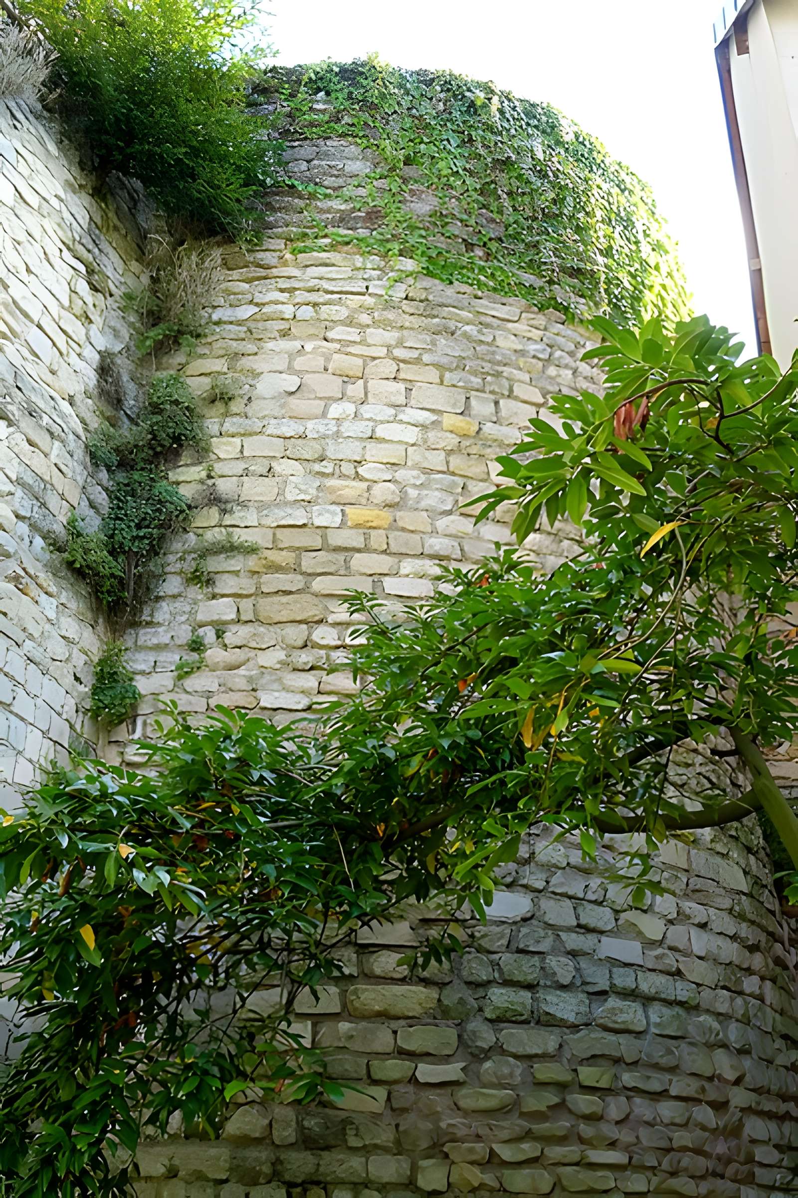 Musée d'art et d'archéologie de Senlis