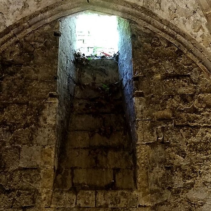 Photo de Musée de la Vénerie à Senlis