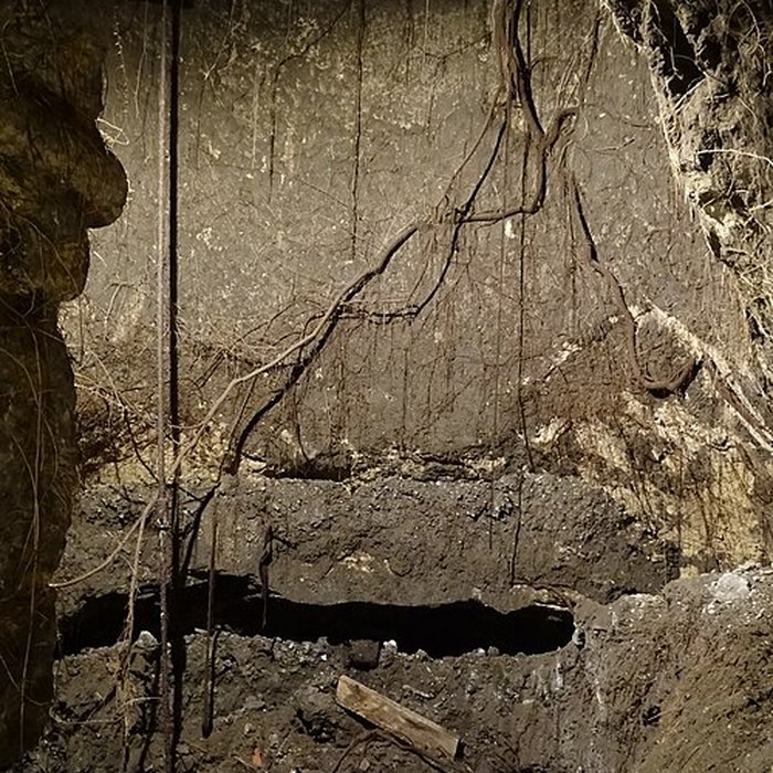 Photo de Musée de la Vénerie à Senlis