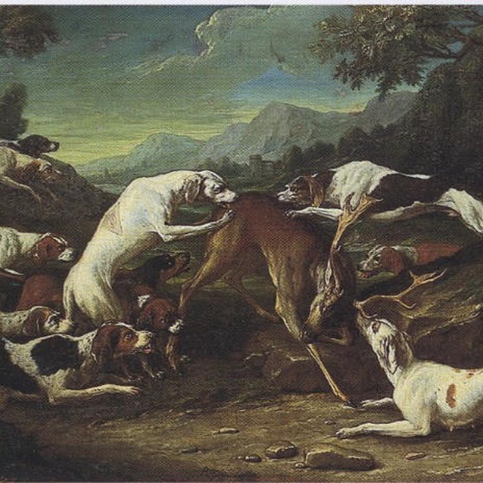 Photo de Musée de la Vénerie à Senlis