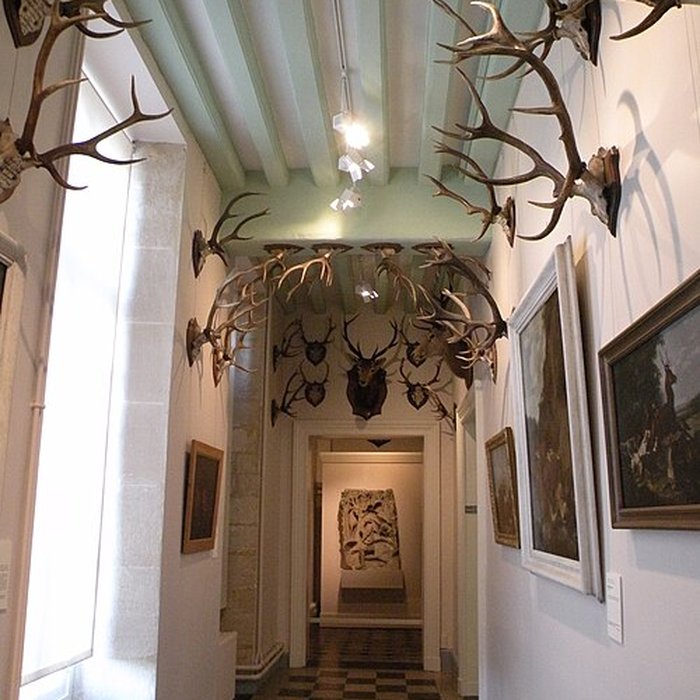 Photo de Musée de la Vénerie à Senlis