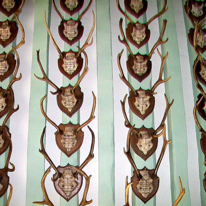 Photo de Musée de la Vénerie à Senlis