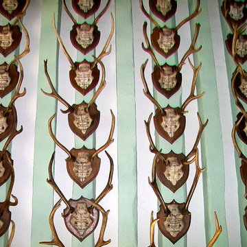 Musée de la Vénerie à Senlis