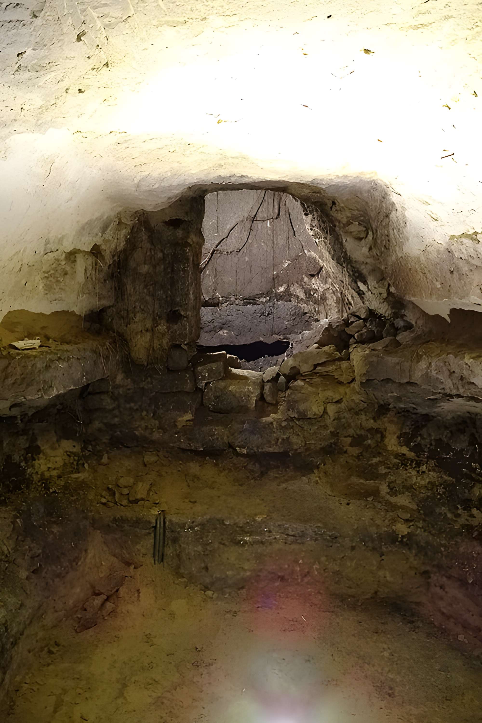 Musée de la Vénerie à Senlis