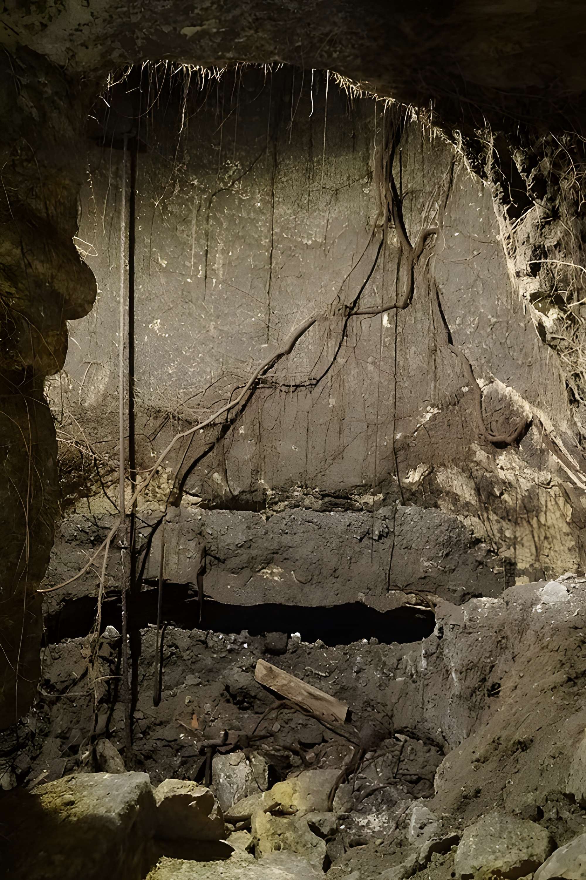 Musée de la Vénerie à Senlis