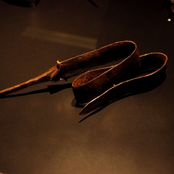 Photo de Musée Antoine-Vivenel à Compiègne