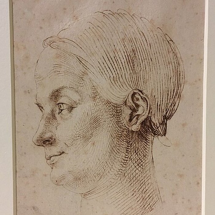 Photo de Musée Antoine-Vivenel à Compiègne