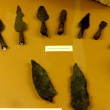 Musée Antoine-Vivenel à Compiègne