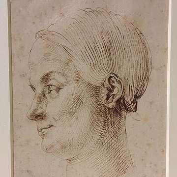 Musée Antoine-Vivenel à Compiègne