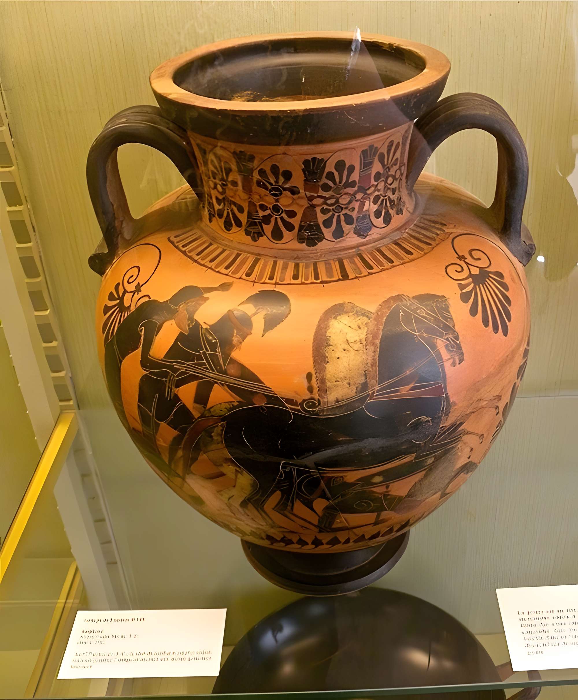 Musée Antoine-Vivenel à Compiègne