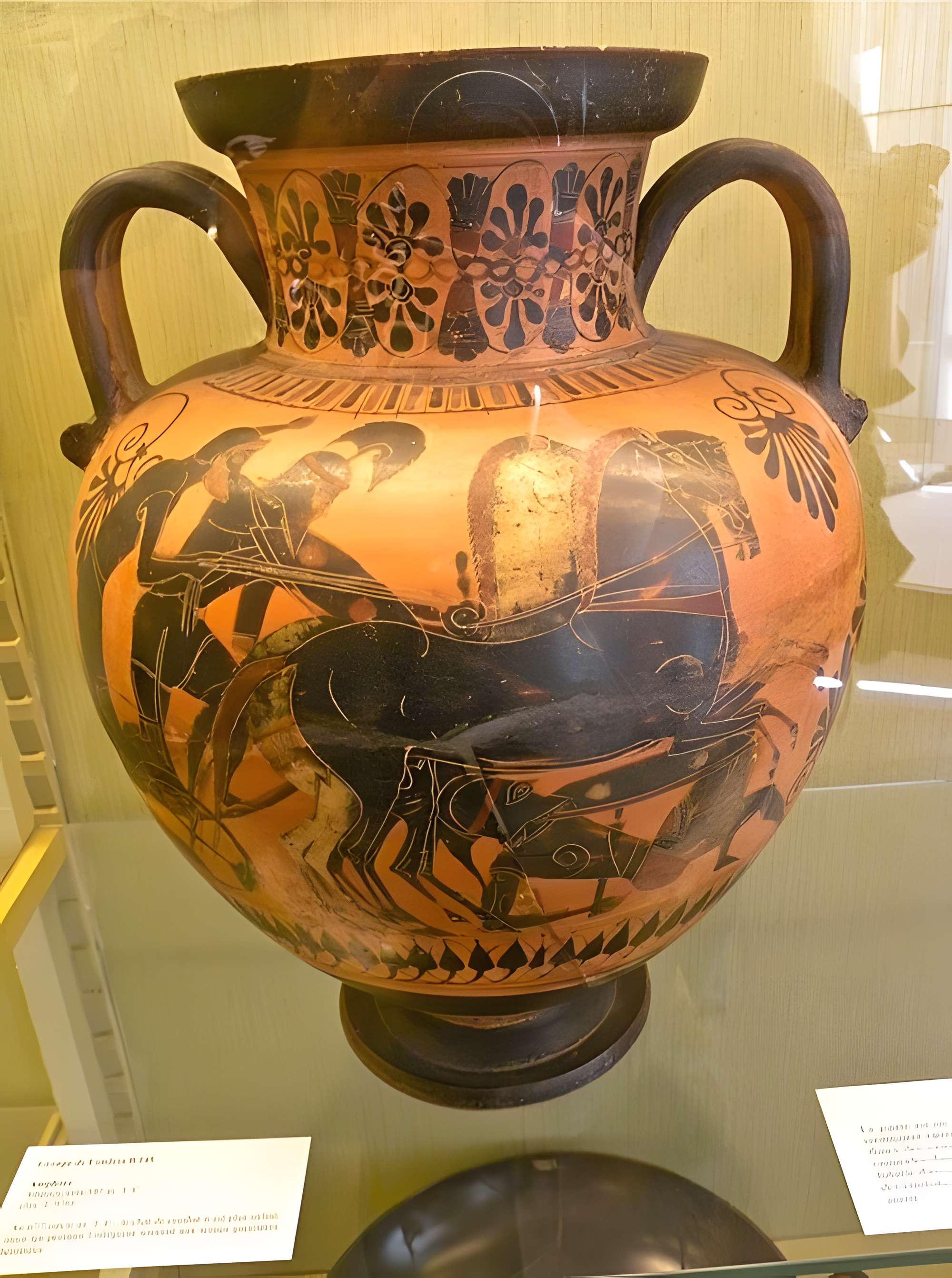 Musée Antoine-Vivenel à Compiègne