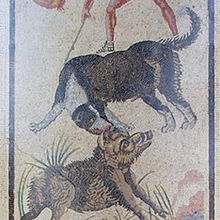 Photo de Musée Condé à Chantilly